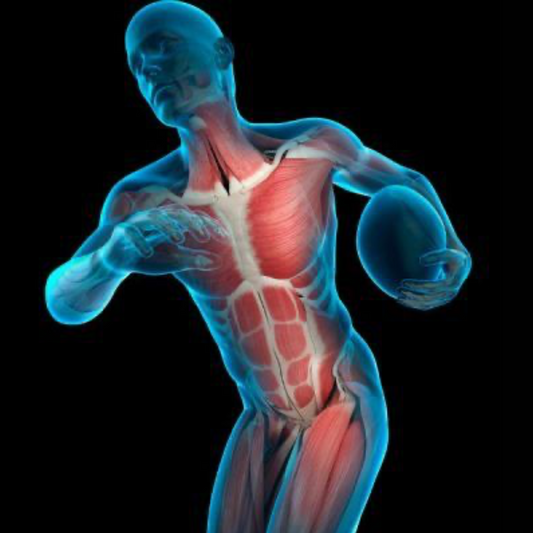 Evaluacion Funcional M-Flex